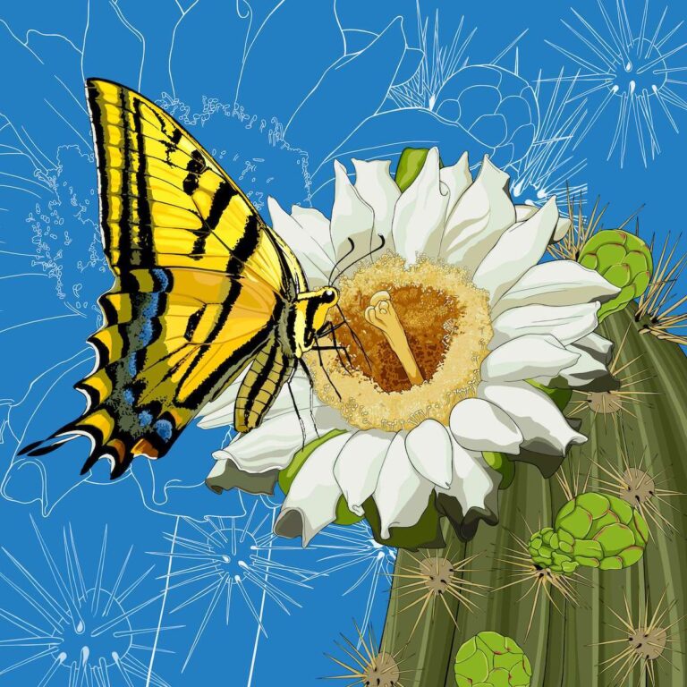 Arizona SaguaroCactusBlossomTwo tailedSwallowtailButterfly 768x768
